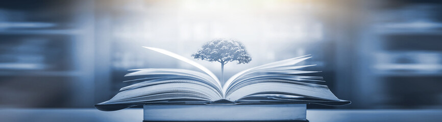 电子助力方向盘可以调轻重吗