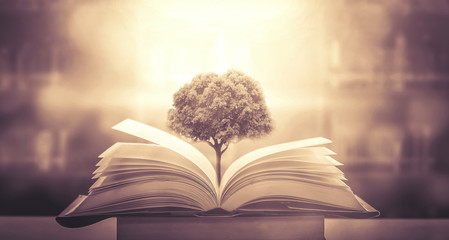 雷凌需要加装倒车雷达不