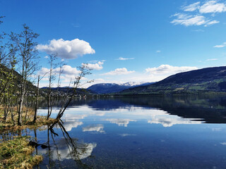 雷凌需要加装倒车雷达不