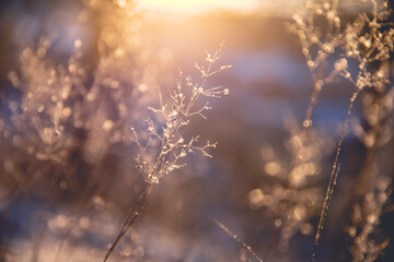 电子助力方向盘可以调轻重吗