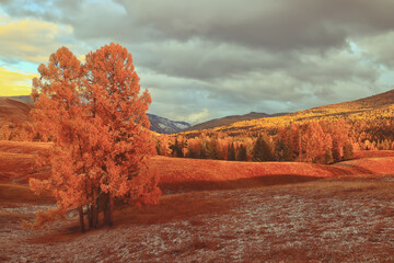 长安汽车创始人