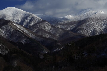 娱乐圈沪上马亲王是谁