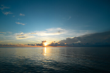 沈烨苏卿卿窦姿若是什么小说