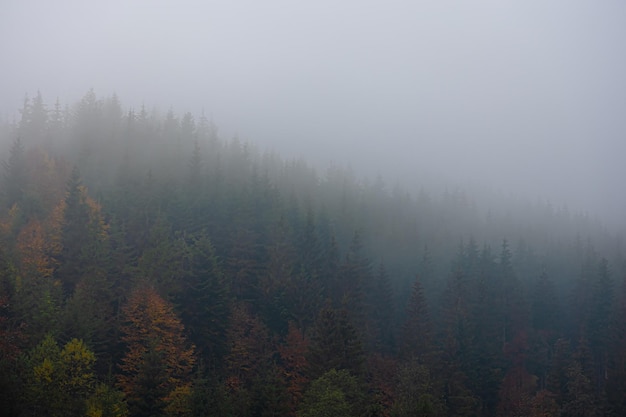 一汽大众和上汽大众哪个实力更强？