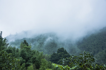一汽大众和上汽大众哪个实力更强？